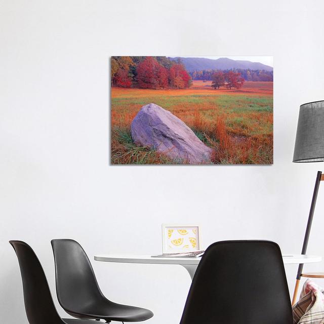 Boulder And Autumn Colored Deciduous Forest, Cades Cove, Great Smoky Mountains National Park, Tennessee by Tim Fitzharris - Wrapped Canvas Print Alpen on Productcaster.