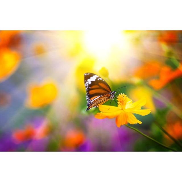 Butterflies and Flowers - Wrapped Canvas Photograph Brambly Cottage Size: 30cm H x 46cm W on Productcaster.