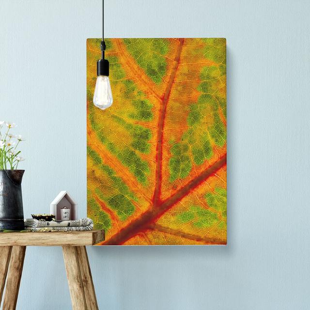 Map of a Leaf - Wrapped Canvas Graphic Art Print East Urban Home Size: 50cm H x 35cm W x 3cm D on Productcaster.