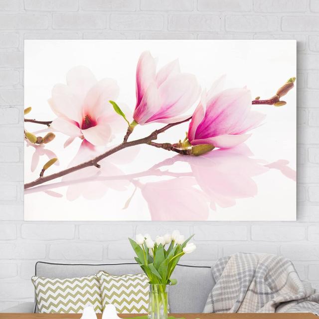 Delicate Magnolia Branch - Wrapped Canvas Photograph Ebern Designs Size: 60cm H x 90cm W, Format: 330g/m³ recycled canvas on Productcaster.