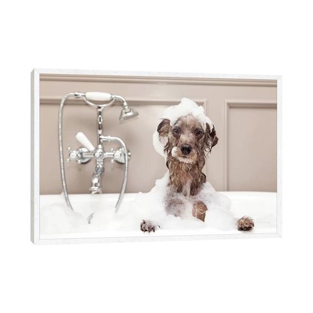 Funny Dog Taking Bubble Bath by Susan Schmitz - Photograph Print on Canvas Ebern Designs Size: 66.04cm H x 101.6cm W x 3.81cm D, Format: White Framed on Productcaster.