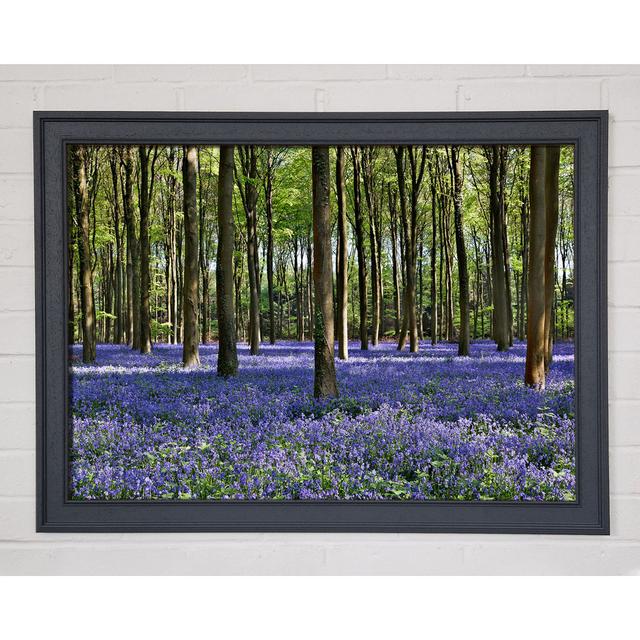 Beautiful Purple Flowers in the Woods - Single Picture Frame Art Prints Union Rustic Size: 42cm H x 59.7cm W on Productcaster.