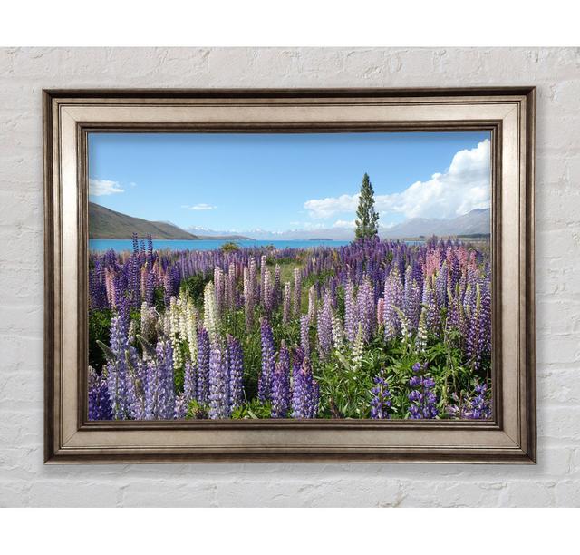 Loopins Peering Over The Lake Framed Print Bright Star Size: 29.7cm H x 42cm W on Productcaster.