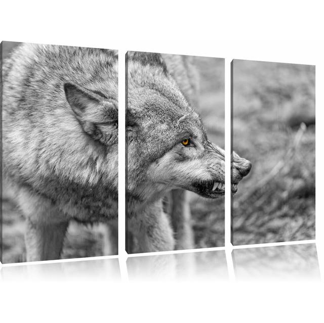 3-tlg. Leinwandbilder-Set „Knurrender Wolf", Fotodruck Alpen Home on Productcaster.