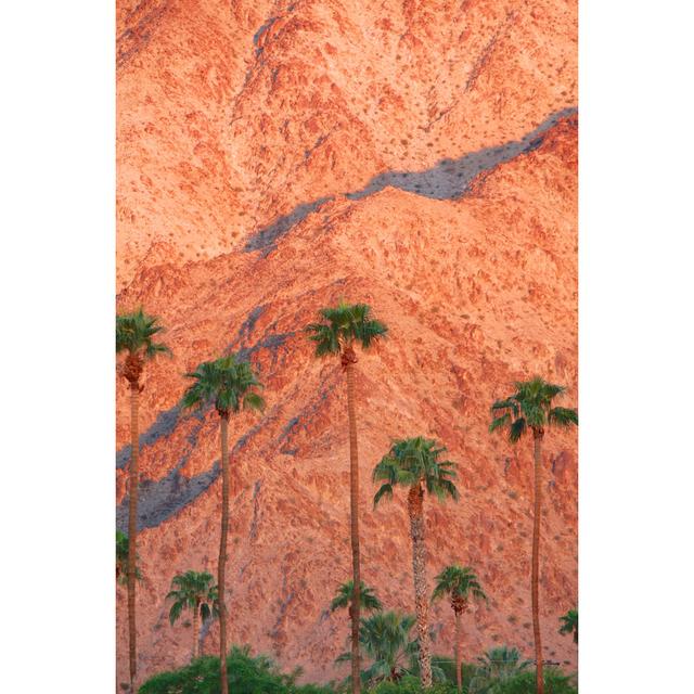 Lennart Palm Springs, California - Wrapped Canvas Photograph Bay Isle Home Size: 46cm H x 30cm W x 3.8cm D on Productcaster.