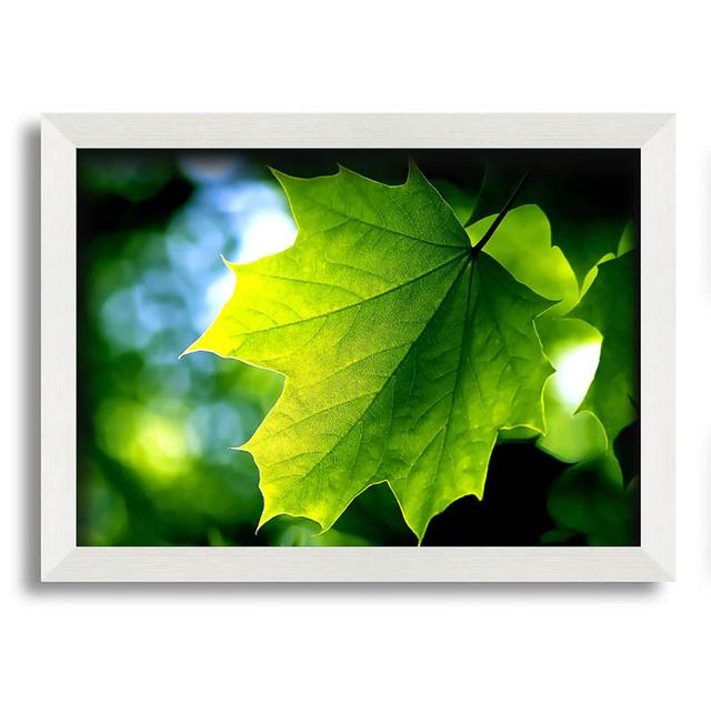 Green Leaf - Single Picture Frame Art Prints Ebern Designs Size: 59.7cm H x 84.1cm W on Productcaster.