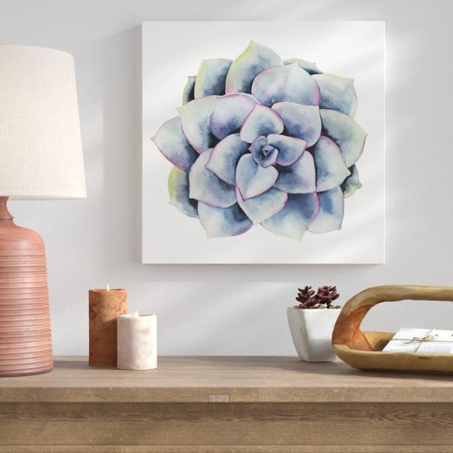 Tropical Plant V by Grace Popp - Wrapped Canvas Painting Print Magnolia Box Size: 51cm H x 51cm W on Productcaster.