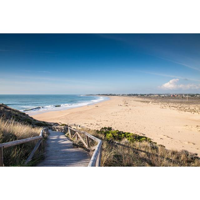 Beach At Cape Of Trafalgar House of Hampton Size: 20cm H x 30cm W x 3.8cm D on Productcaster.