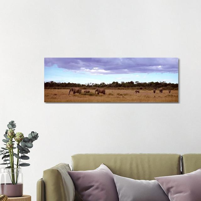 Herd of Elephants, Masai Mara National Reserve, Kenya, Africa - Wrapped Canvas Panoramic Photograph Brayden Studio Size: 40.64cm H x 121.92cm W x 1.91 on Productcaster.