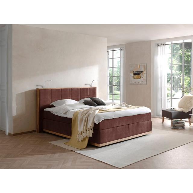 Boxspringbett Shankle mit Beleuchtung COTTA Farbe: Charcoal, Größe: 200 × 200 cm, Härtegrad: H2/H2 on Productcaster.