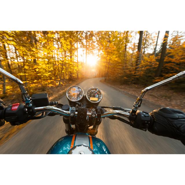 Motorcycle Driver Riding In Forest by - Wrapped Canvas Photograph Alpen Home Size: 51cm H x 76cm W on Productcaster.