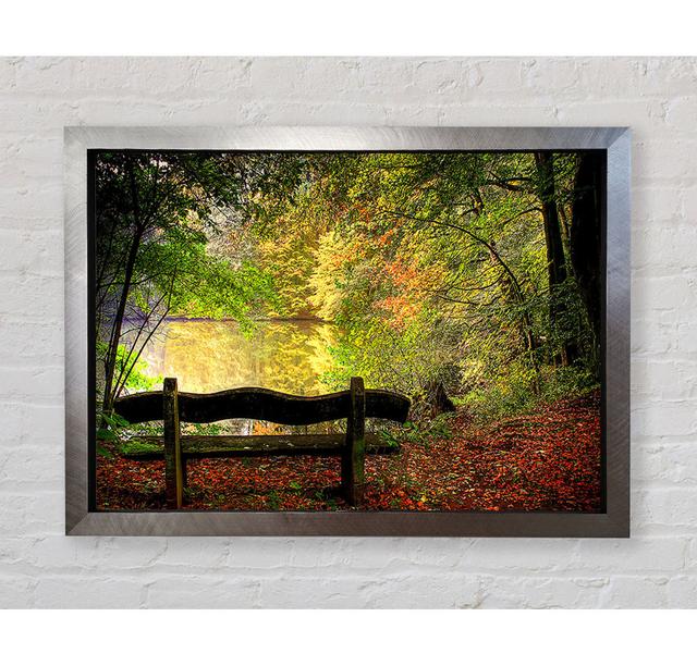 Empty Bench In Fall Scene - Single Picture Frame Art Prints Bright Star Size: 59.7cm H x 84.1cm W x 3.4cm D on Productcaster.