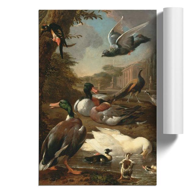 Collection Of Birds Vol.2 by Melchior D'Hondecoeter - No Frame Painting East Urban Home Size: 30cm H x 21cm W x 0.1cm D on Productcaster.