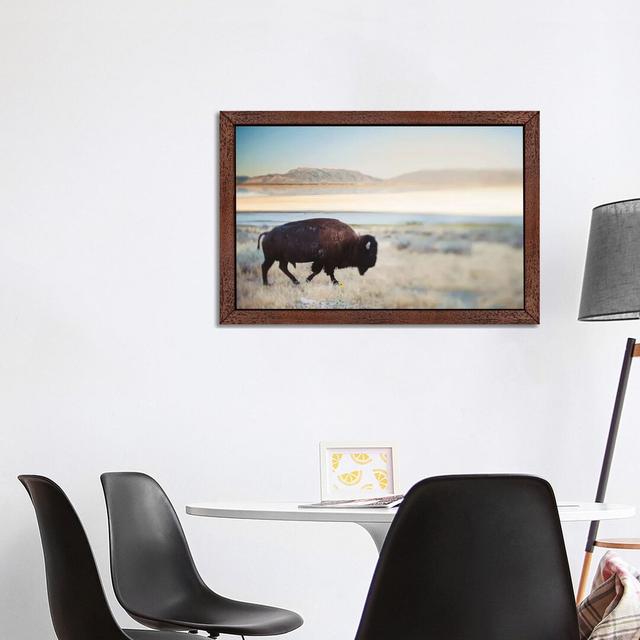 The Anonymous Buffalo by Chelsea Victoria - Print on Canvas Union Rustic Size: 66.04cm H x 101.6cm W x 3.81cm D, Format: Brown Floater Framed on Productcaster.