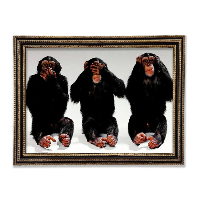 Three Wise Monkeys - Print Ebern Designs Size: 29.7cm H x 42cm W x 3cm D on Productcaster.