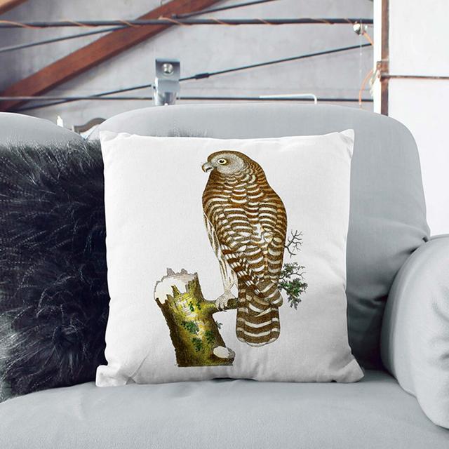 Clouded Owl by George Shaw Cushion with Filling East Urban Home Size: 55cm H x 55cm W x 20cm D, Backing Colour: Stone on Productcaster.