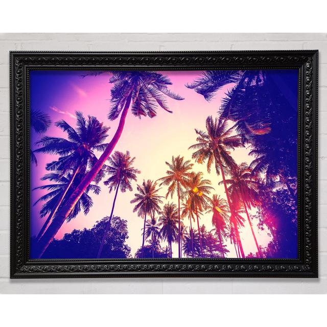 Palm Tree Glow Framed Print Bright Star Size: 42cm H x 59.7cm W on Productcaster.