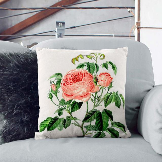 Cabbage Rose Illustrations by Charles D' Orbigny Cushion with Filling East Urban Home Size: 55cm H x 55cm W x 20cm D, Backing Colour: Stone on Productcaster.