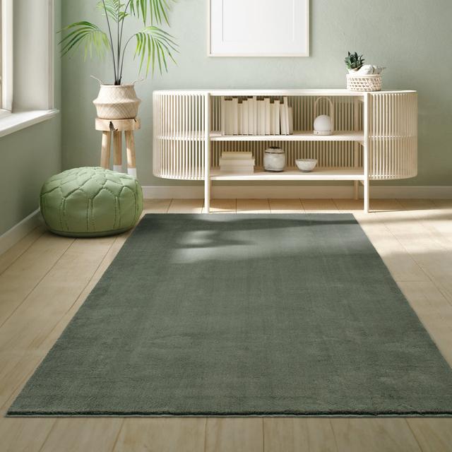 Teppich Malvia in Dunkelgrün 17 Stories Rug Size: Rectangle 200 x 280cm on Productcaster.