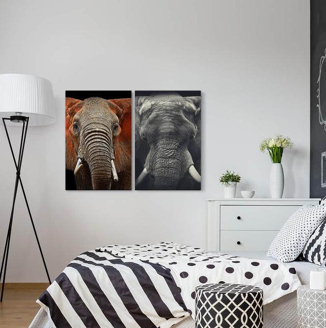 2-tlg. Leinwandbilder-Set - Fotografie „Elephant Head Africa Wilderness Tusks Trunk” East Urban Home on Productcaster.