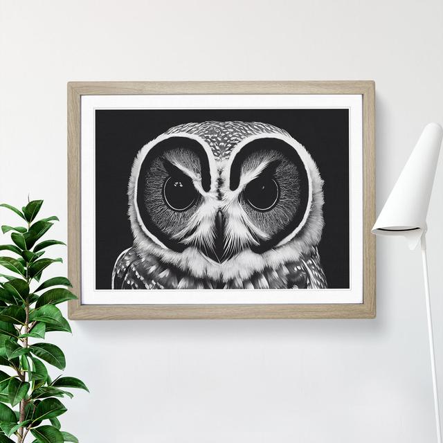 Timeless Owl - Picture Frame Graphic Art Alpen Home Size: 25cm H x 34cm W x 2cm D, Frame Colour: Oak Framed on Productcaster.