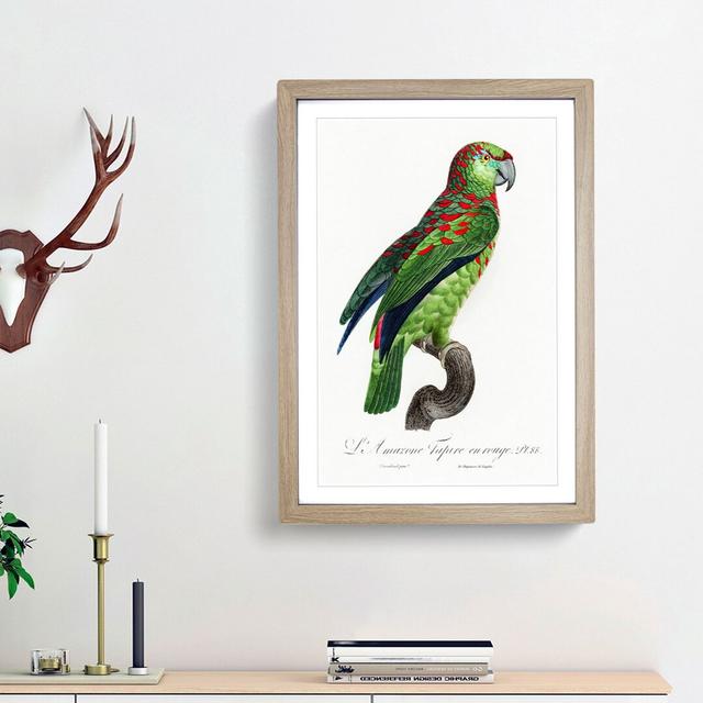 Turquoise-Fronted Amazon Parrot by F. Levaillant - Picture Frame Painting Print East Urban Home Size: 65cm H x 48cm W x 2cm D, Frame Option: Oak Frame on Productcaster.