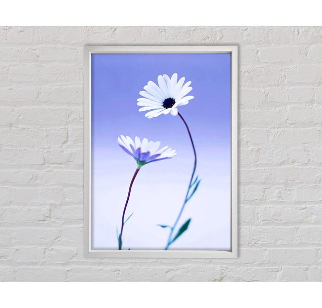 White Daisy Duo On Lilac Framed Print Ebern Designs Size: 118.9cm H x 84.1cm W x 3.3cm D on Productcaster.