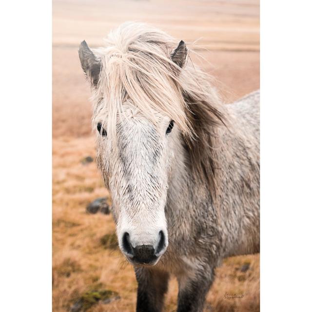 Heida II by Laura Marshall - Wrapped Canvas Photograph Brambly Cottage Size: 30cm H x 20cm W on Productcaster.