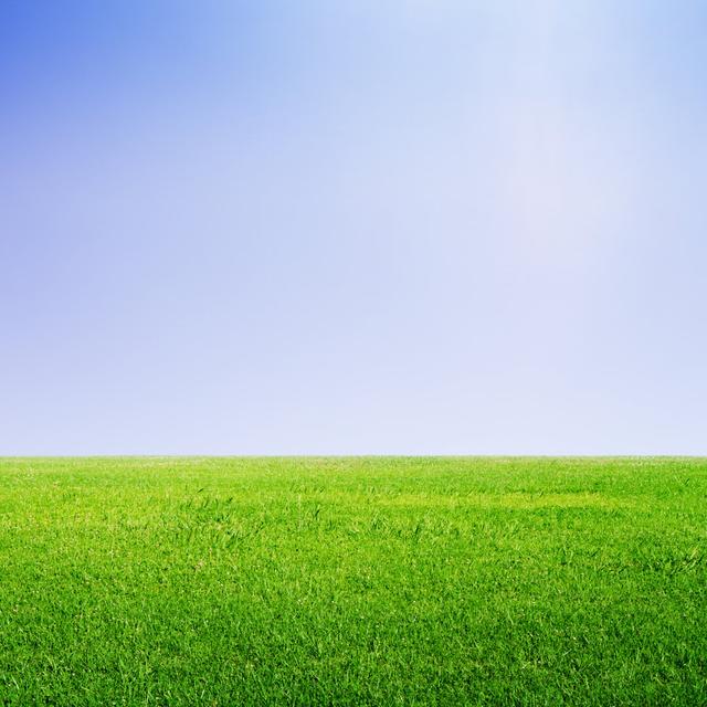 Grass and Sky by Peshkov - Wrapped Canvas Photograph Latitude Run Size: 30cm H x 30cm W on Productcaster.