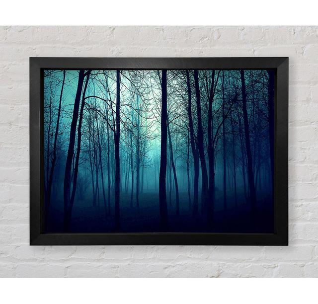 Dark Forest - Single Picture Frame Art Prints Bright Star Size: 59.7cm H x 84.1cm W x 3.4cm D on Productcaster.