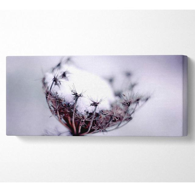 Single Winter Flower - Wrapped Canvas Panoramic Art Prints Ebern Designs Size: 71cm H x 162.5cm W x 10cm D on Productcaster.