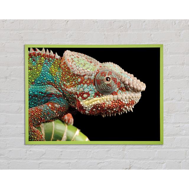 Chameleon Face - Single Picture Frame Art Prints Brayden Studio Size: 29.7cm H x 42cm W x 2cm D on Productcaster.