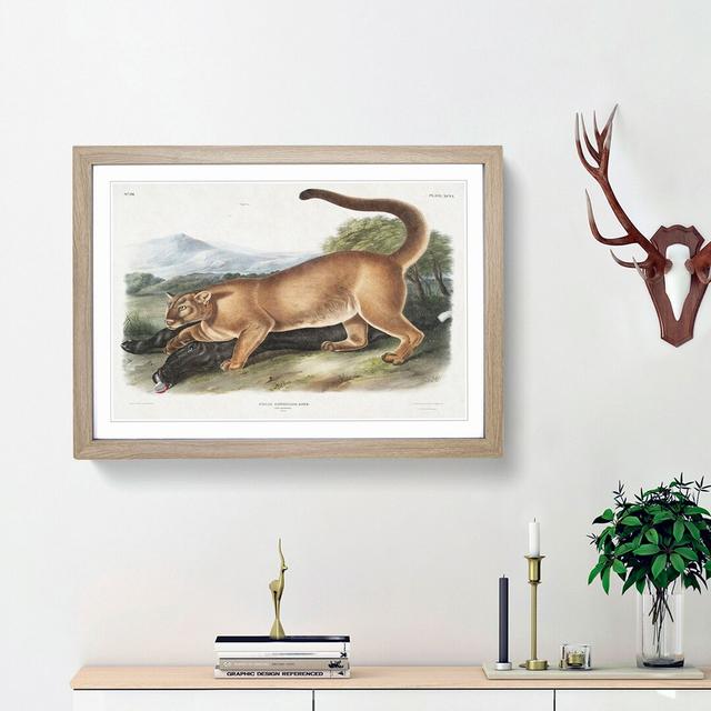 Cougar by J.W. Audubon - Picture Frame Painting Print East Urban Home Size: 48cm H x 65cm W x 2cm D, Frame Option: Oak Framed on Productcaster.