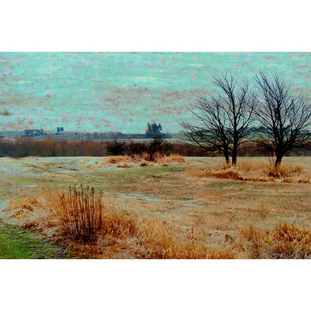 Fields II by Danielle Harrington - Wrapped Canvas Painting Gracie Oaks Size: 81cm H x 122cm W on Productcaster.