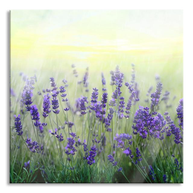 Beautiful Lavender In Rain - No Frame Print on Glass Brayden Studio Size: 80cm H x 80cm W x 0.4cm D on Productcaster.