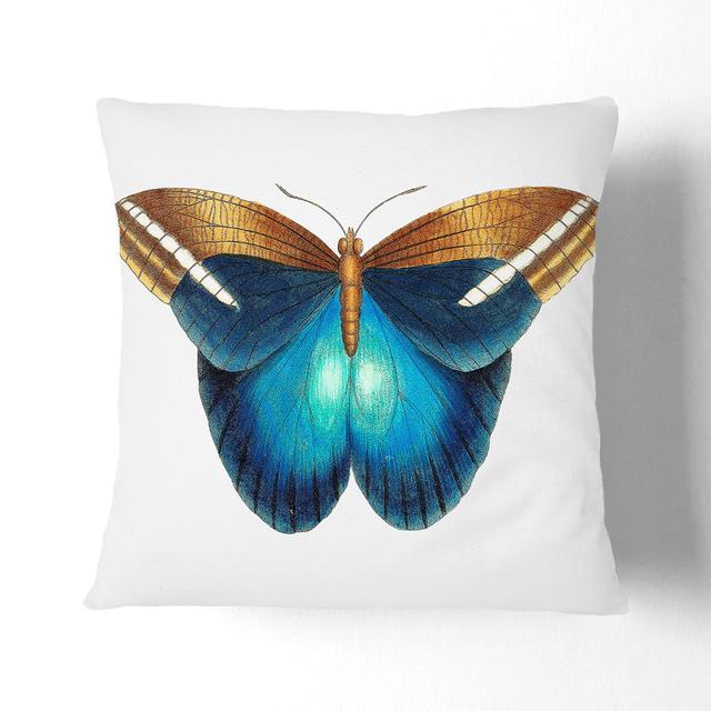 Idomeneus Butterfly by George Shaw Cushion with Filling East Urban Home Size: 55cm H x 55cm W x 20cm D, Backing Colour: White on Productcaster.