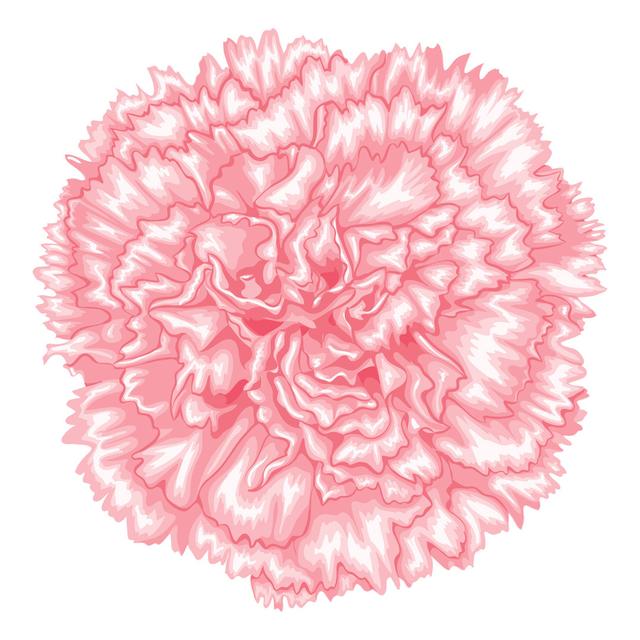 Beautiful Pink Carnation by Hulinska_Yevheniia - Wrapped Canvas Graphic Art Marlow Home Co. Size: 76cm H x 76cm W on Productcaster.