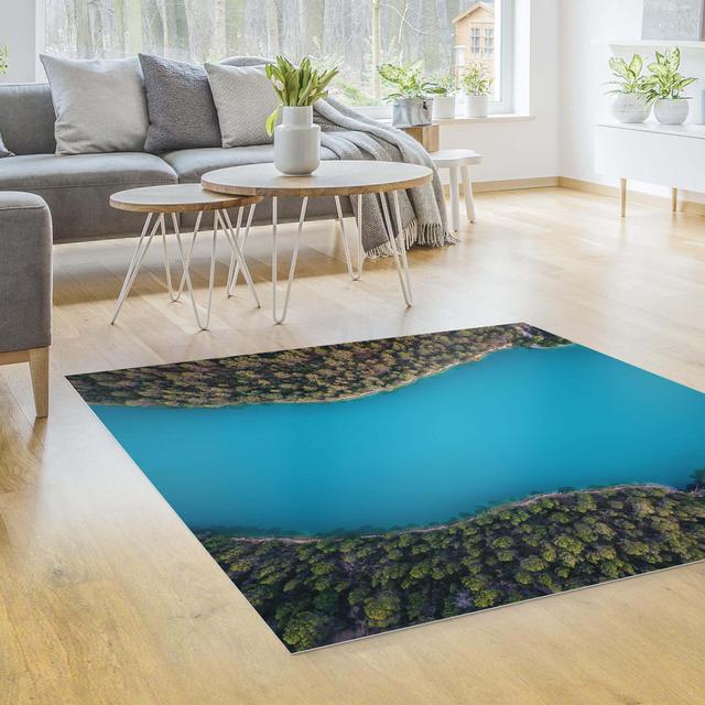 Square Gennara Ombre Machine Woven Area Rug East Urban Home Rug Size: Square 120cm on Productcaster.