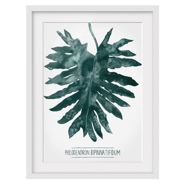 Emerald Green Philodendron Bipinnatifidum - Picture Frame Painting Bay Isle Home Size: 40cm H x 30cm W x 2cm D, Frame Option: White on Productcaster.