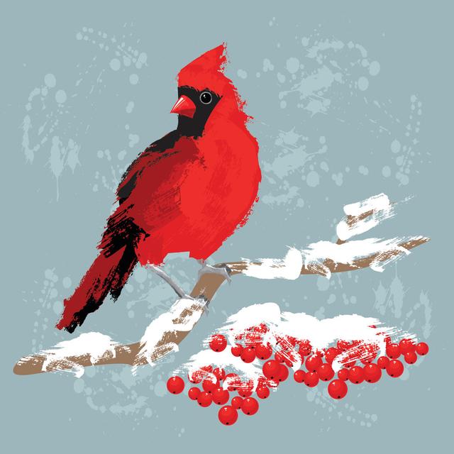 Red Bird Cardinal On Branch With Berries - Wrapped Canvas Print Rosalind Wheeler Size: 76cm H x 76cm W x 3.8cm D on Productcaster.