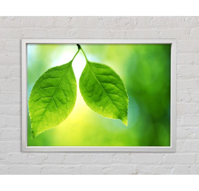 Duo Tree Leaves Framed Print Ebern Designs Size: 84.1cm H x 118.9cm W x 3.3cm D on Productcaster.