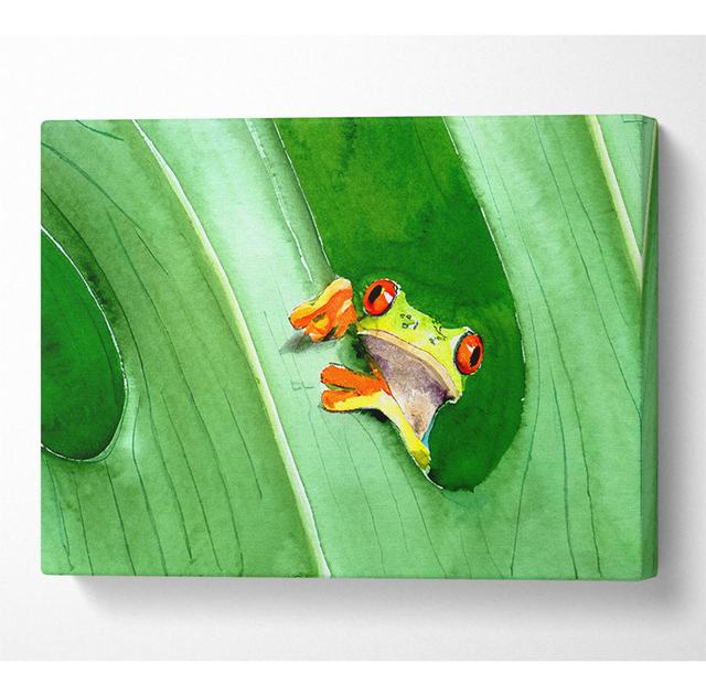 Frog - Wrapped Canvas Art Prints Latitude Run Size: 81cm H x 121.9cm W x 10cm D on Productcaster.