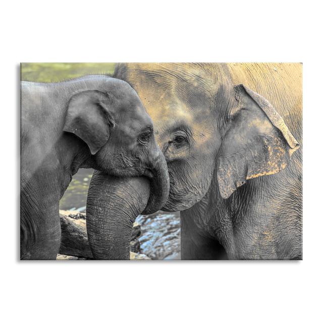 Elephant Mother With Calf - No Frame Print on Glass 17 Stories Colour: Brown/Grey, Size: 70cm H x 100cm W x 0.4cm D on Productcaster.