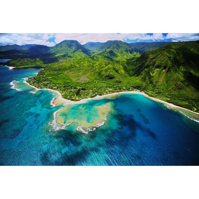 Tunnels Beach Kauai bjonesmediaAquablue; Green; White; Beige181172047 House of Hampton Size: 81cm H x 122cm W on Productcaster.