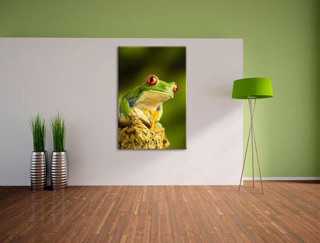 Leinwandbild ,,Grüner Rotaugen Frosch", Fotodruck East Urban Home Größe: 60 cm H x 40 cm B on Productcaster.