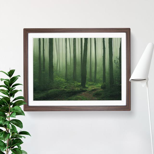 XH1022-647X Angelical Forest - Single Picture Frame Painting Alpen Home Frame Option: Walnut, Size: 34cm H x 46cm W x 2cm D on Productcaster.