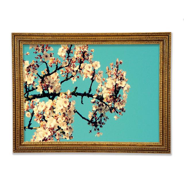 Blossom Tree Against A Blue Sky - Single Picture Frame Art Prints Ebern Designs Größe: 59,7 cm H x 84,1 cm B x 3 cm T on Productcaster.