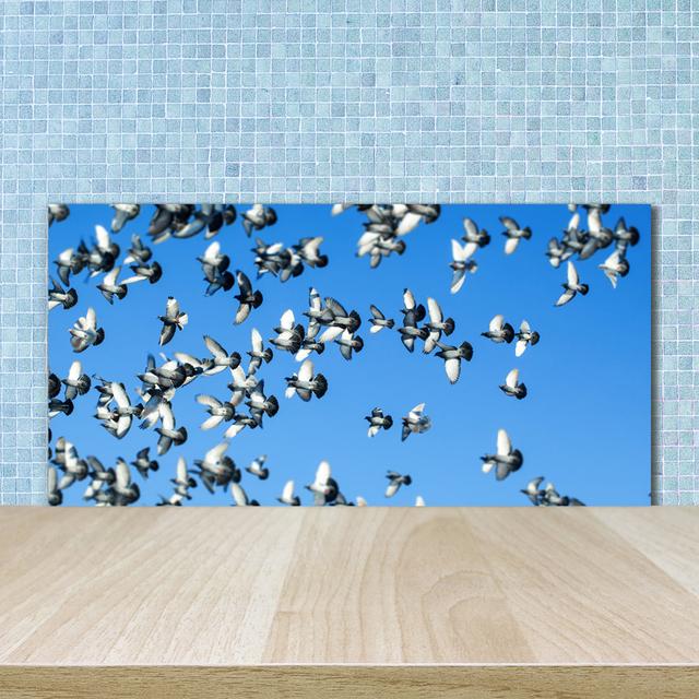 A Flock of Pigeons 50cm x 100cm Glass Panel Ebern Designs on Productcaster.