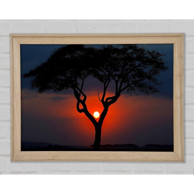 Schöner roter Sonnenuntergang zwischen den Bäumen - Druck Ebern Designs Größe: 84,1 cm H x 118,9 cm B x 1,5 cm T on Productcaster.