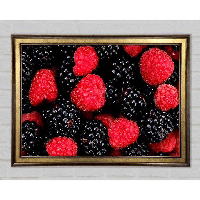 Himbeeren und Brombeeren - Einzelne Bilderrahmen Kunstdrucke Ebern Designs Größe: 59,7 cm H x 84,1 cm B x 1,5 cm T on Productcaster.